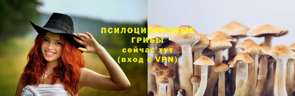 стаф Алексеевка