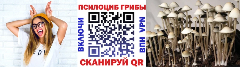 Галлюциногенные грибы GOLDEN TEACHER  kraken зеркало  Кола 
